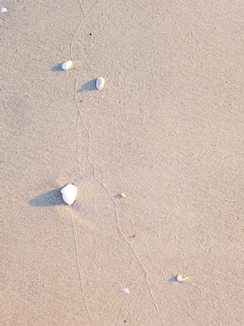 Zand, Strand, Stenen, Zee, Achtergrond