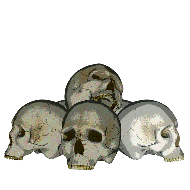 Free skeleton skull bone illustration