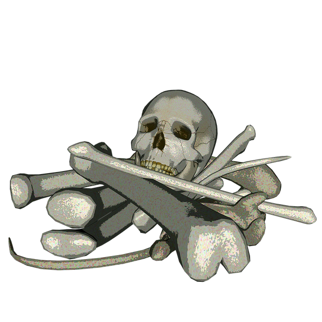 Free skeleton skull bone illustration