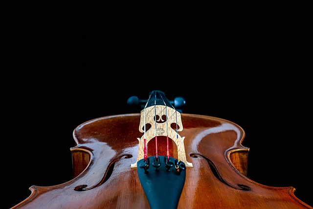 Free Cello Music photo and picture