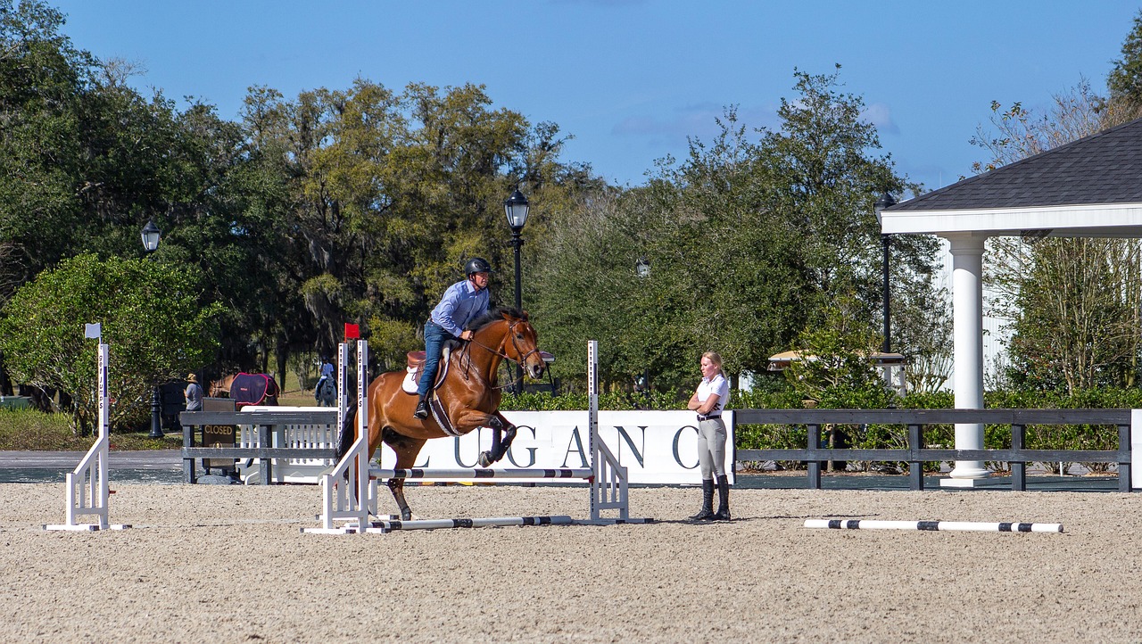 Stock SHOWQUEST Estelle Blanc Avec Gemme, Neuf, Fin De Ligne, équitation