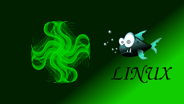 Free Desktop For The Monitor vector and picture
