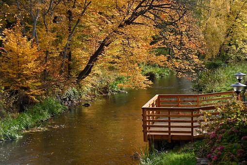 Free Autumn Park photo and picture