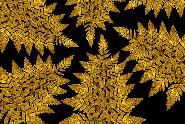 Blätter, Gold, Farn, Pflanzen, Flora