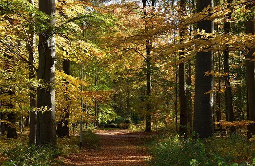 Free Parkway Park photo and picture