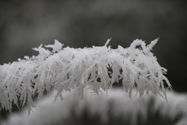 Free Winter Nature photo and picture