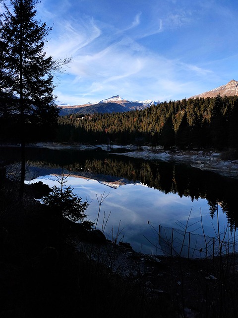 Free Mountains Forest photo and picture