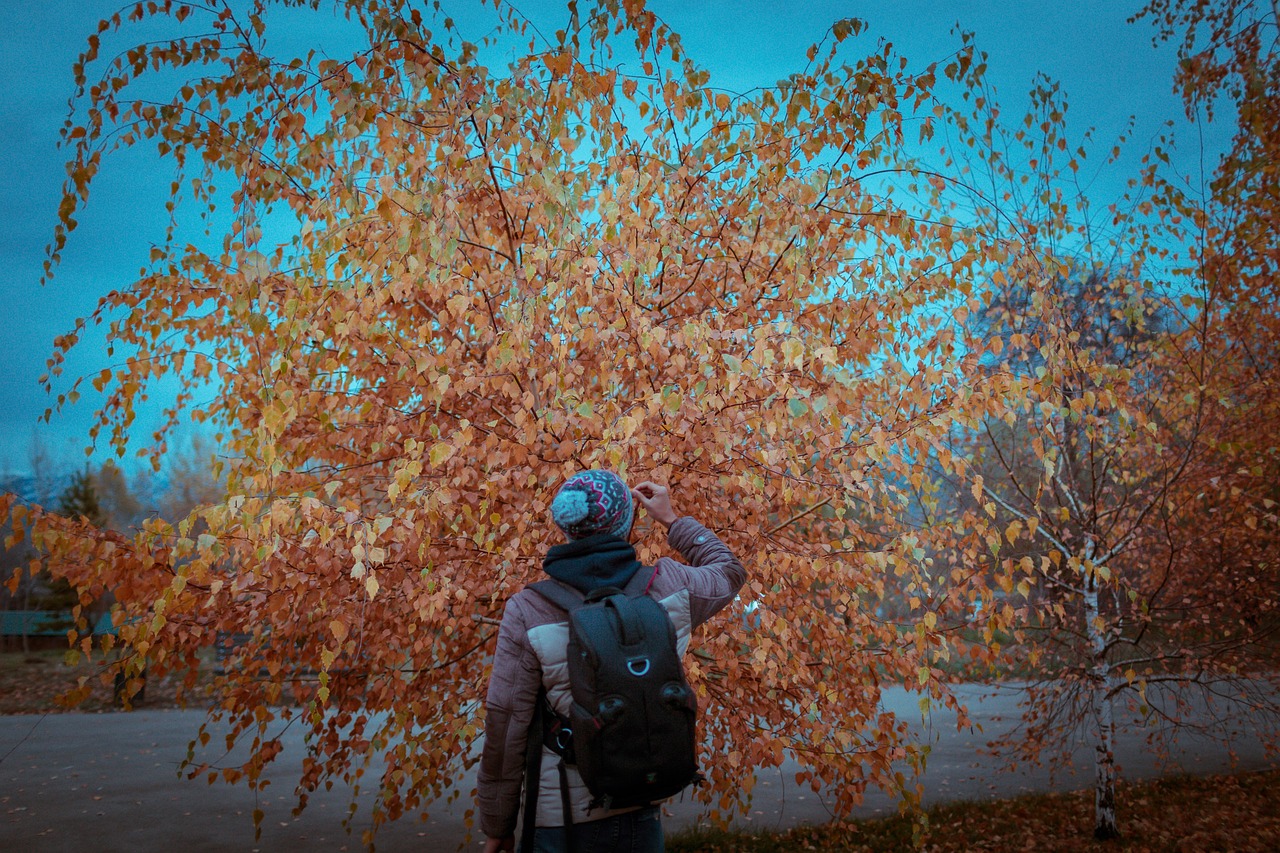 Fall Autumn Leaves Man - Free photo on Pixabay