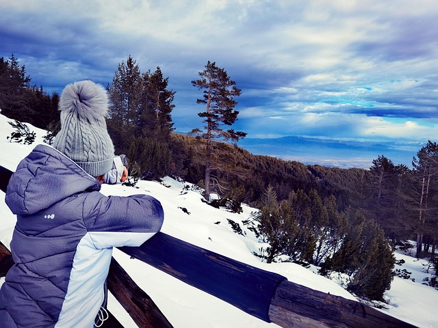 Free Winter Snow photo and picture