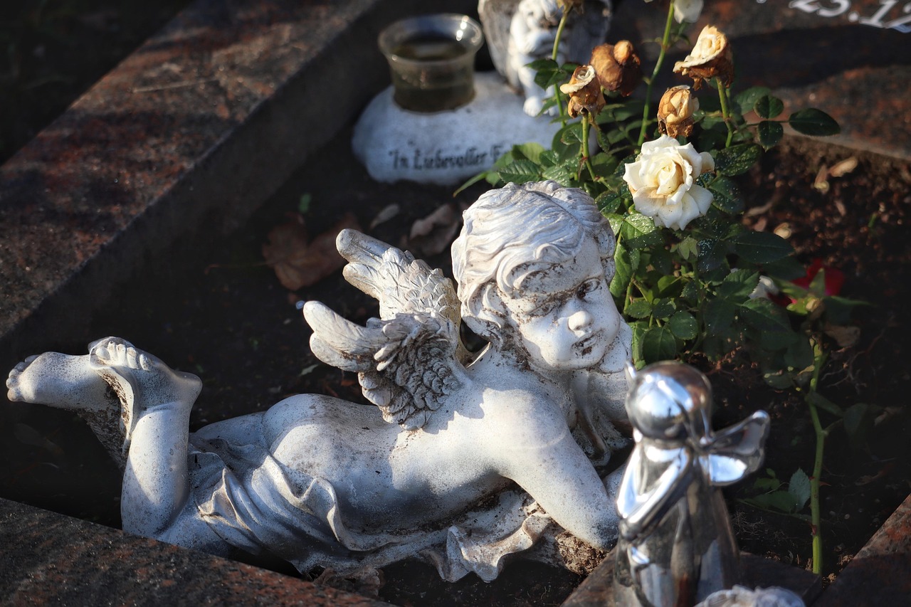 Dig - free online jigsaw puzzle photo