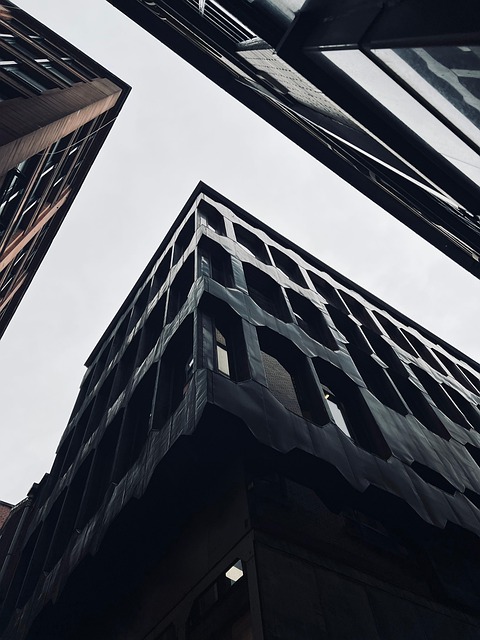 Free Building Windows photo and picture