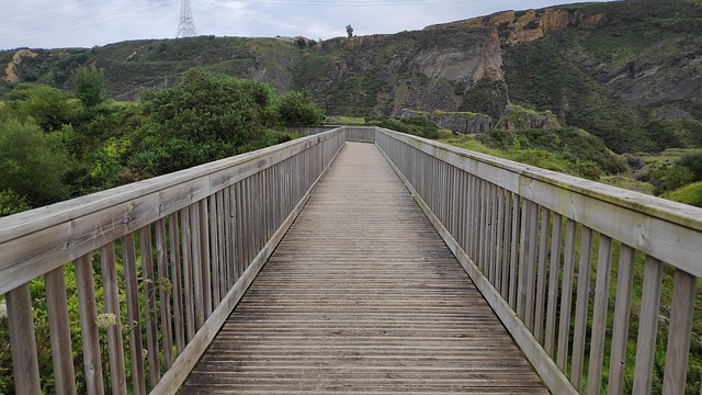Free Bridge Landscape photo and picture