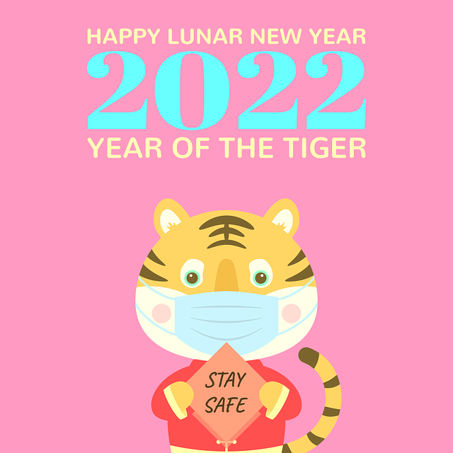 Neujahrsfest, Chinesisches Neujahr