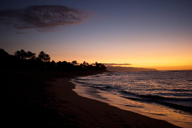 Free Beach Sunset photo and picture