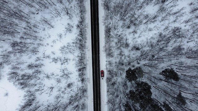 Free Quadcopter Drone photo and picture