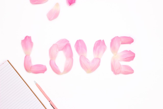 Free Valentine'S Day Flower photo and picture