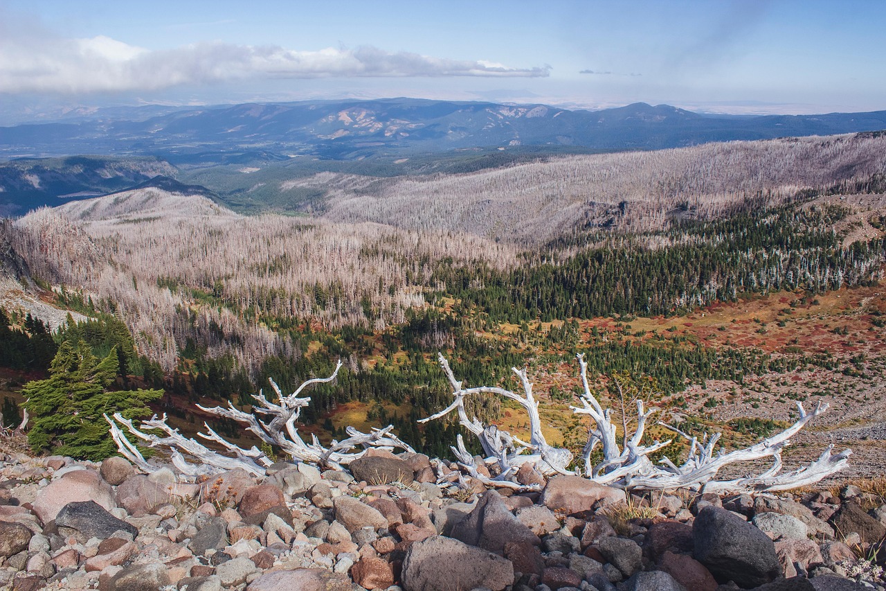Mountain - free online jigsaw puzzle photo