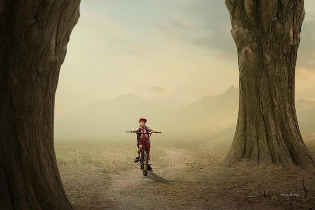 Kind, Ländlich, Baum, Design, Straße