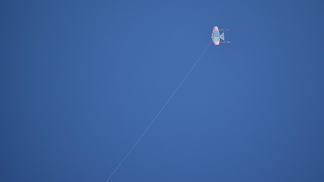 Free Kite Kite Flying photo and picture