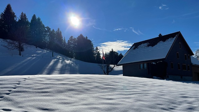 Free Cottage Snow photo and picture