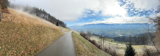 Free Between Fog photo and picture