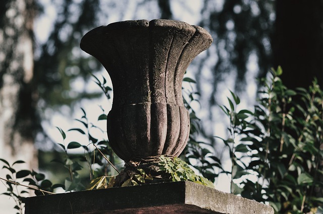 Free Hedge Stone photo and picture