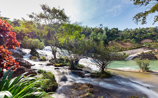 Arroyo, Naturaleza, Otoño, Temporada