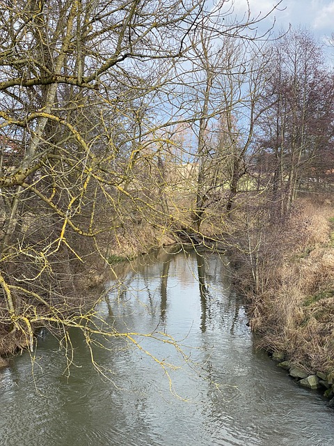 Free Stream Water photo and picture