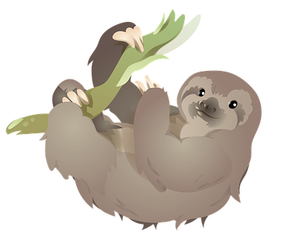 Free Sloth Three Finger Sloth illustration and picture