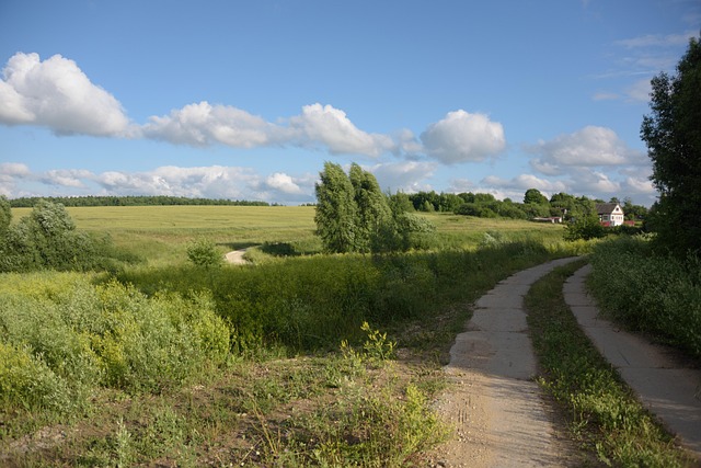 Drumul, Casă, Sat, Câmp, Vară