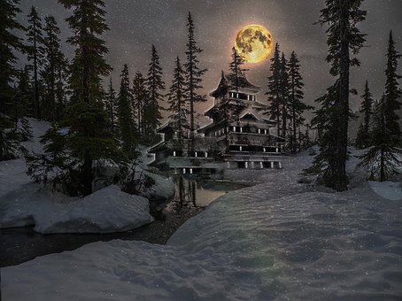 Free Forest Background photo and picture