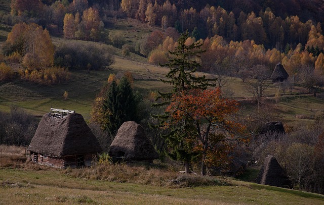 Free Village Rural photo and picture