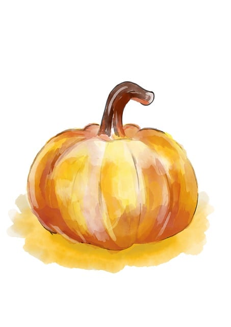 Free Pumpkin Vegetable illustration and picture