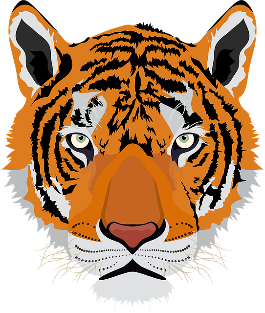 Tiger, Dyr, Kæledyr, Kinesisk Nytår
