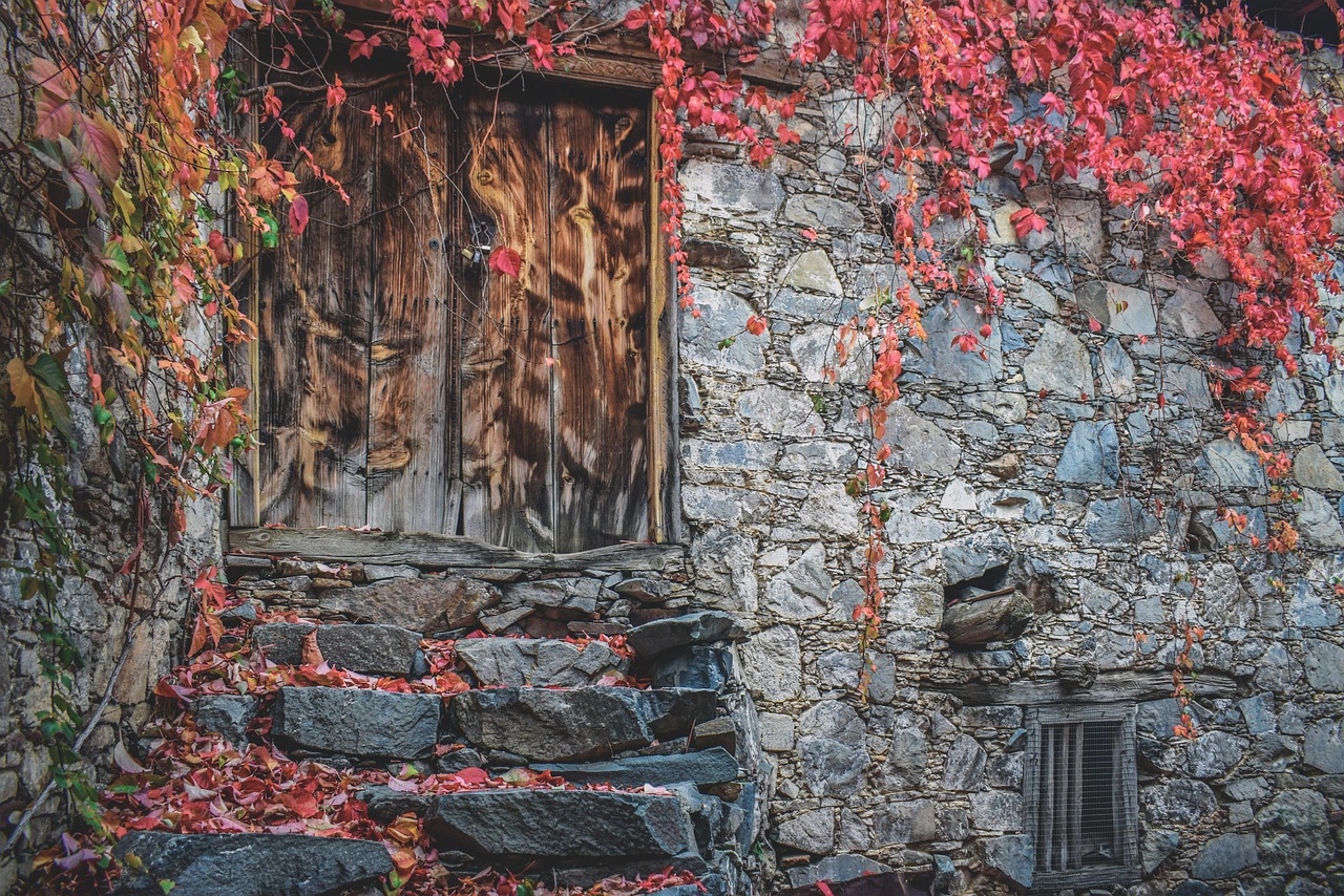 Door - free online jigsaw puzzle photo