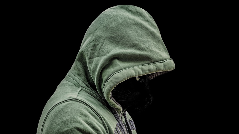 Boxer Boxing Hoodie - Free photo on Pixabay