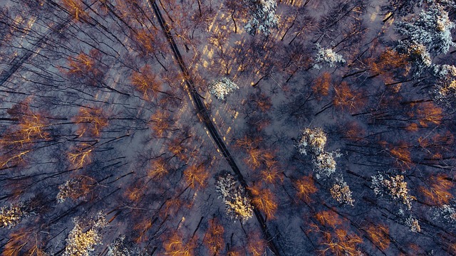 Free Nature Autumn photo and picture