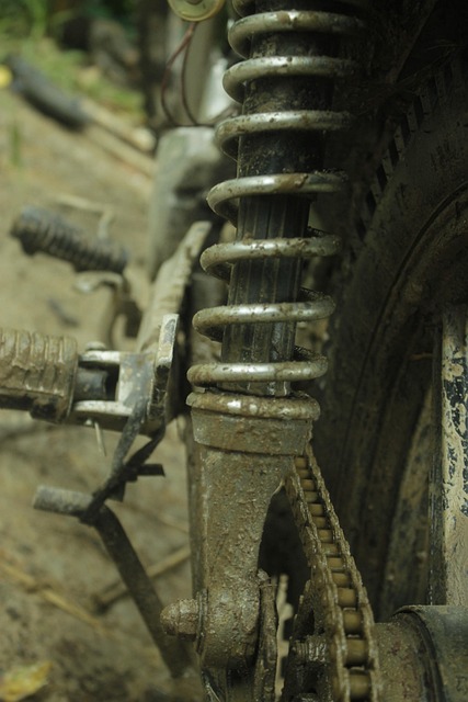 Free Automotive Motorcycle photo and picture
