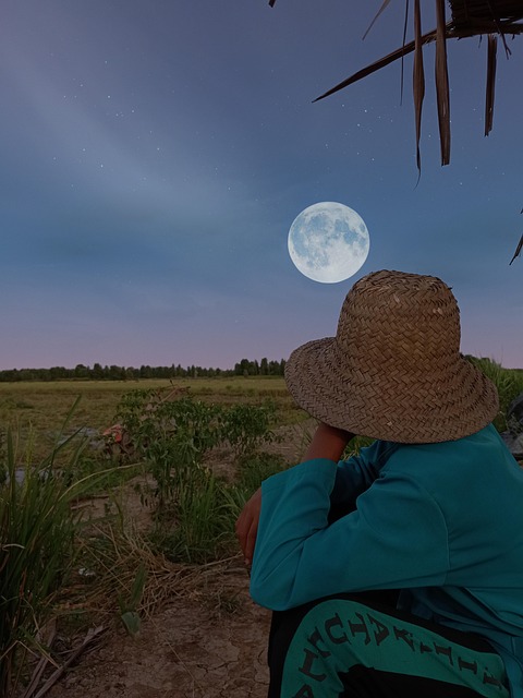 Free Scenery Agriculture photo and picture