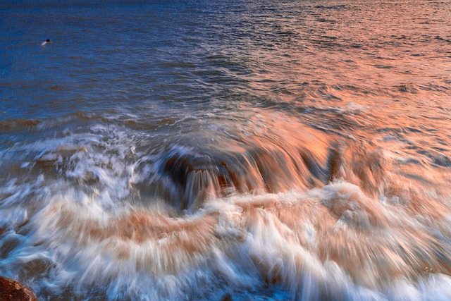 Free Sea Wave photo and picture