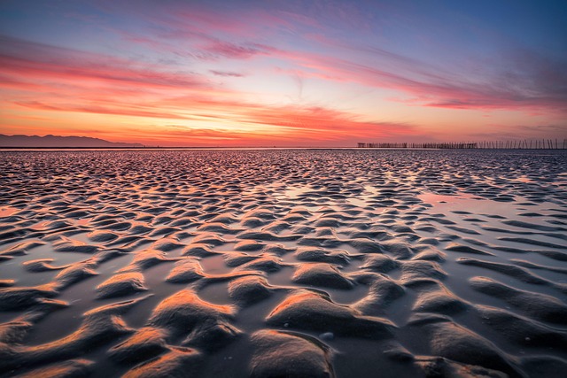 Free Beach Shore photo and picture