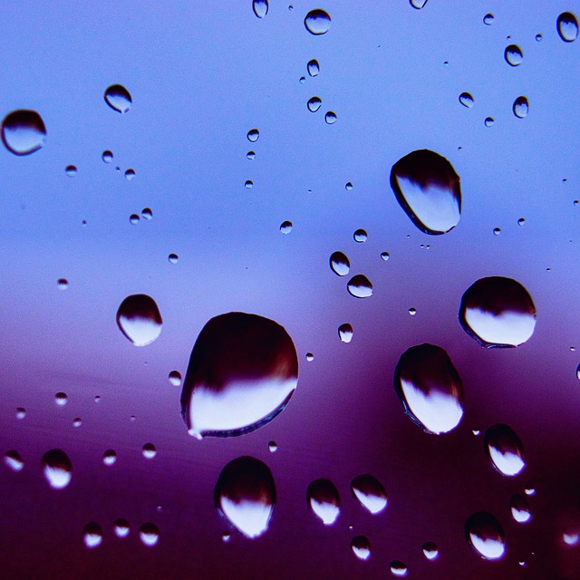Free Water Raindrop photo and picture