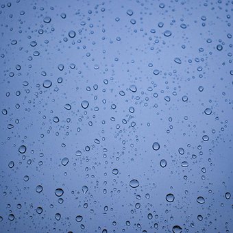Free Raindrop Rain photo and picture