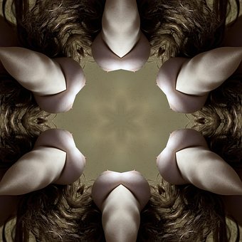 Free Sperm Spermatozoa photo and picture