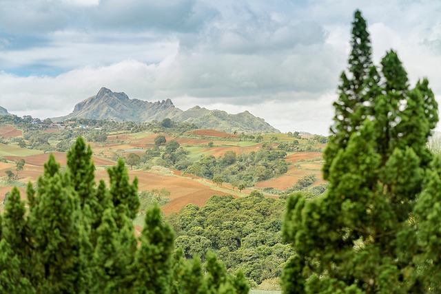 Bergen, Bomen, Gebied, Natuur, Landschap