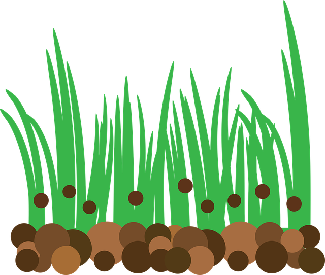 Free grass fertilizer lawn vector