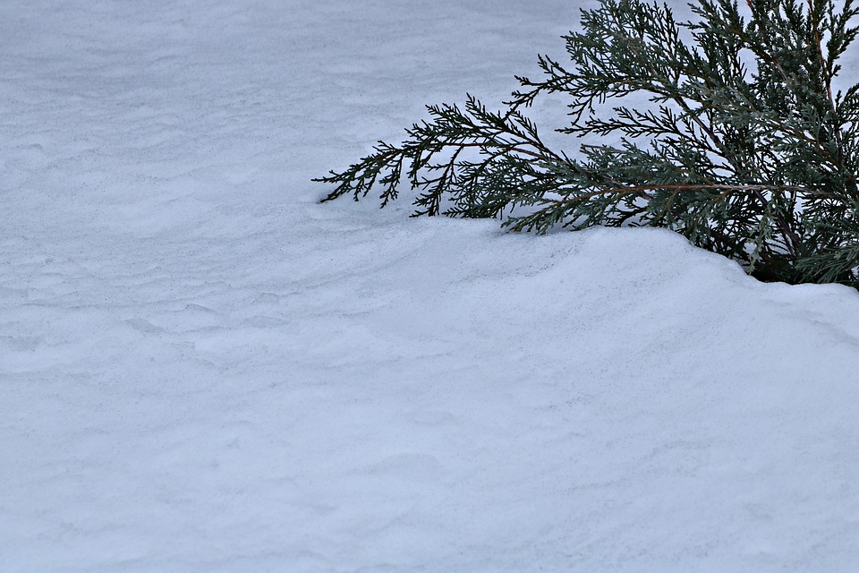 雪 冰 冬天 - Pixabay上的免费照片 - Pixabay