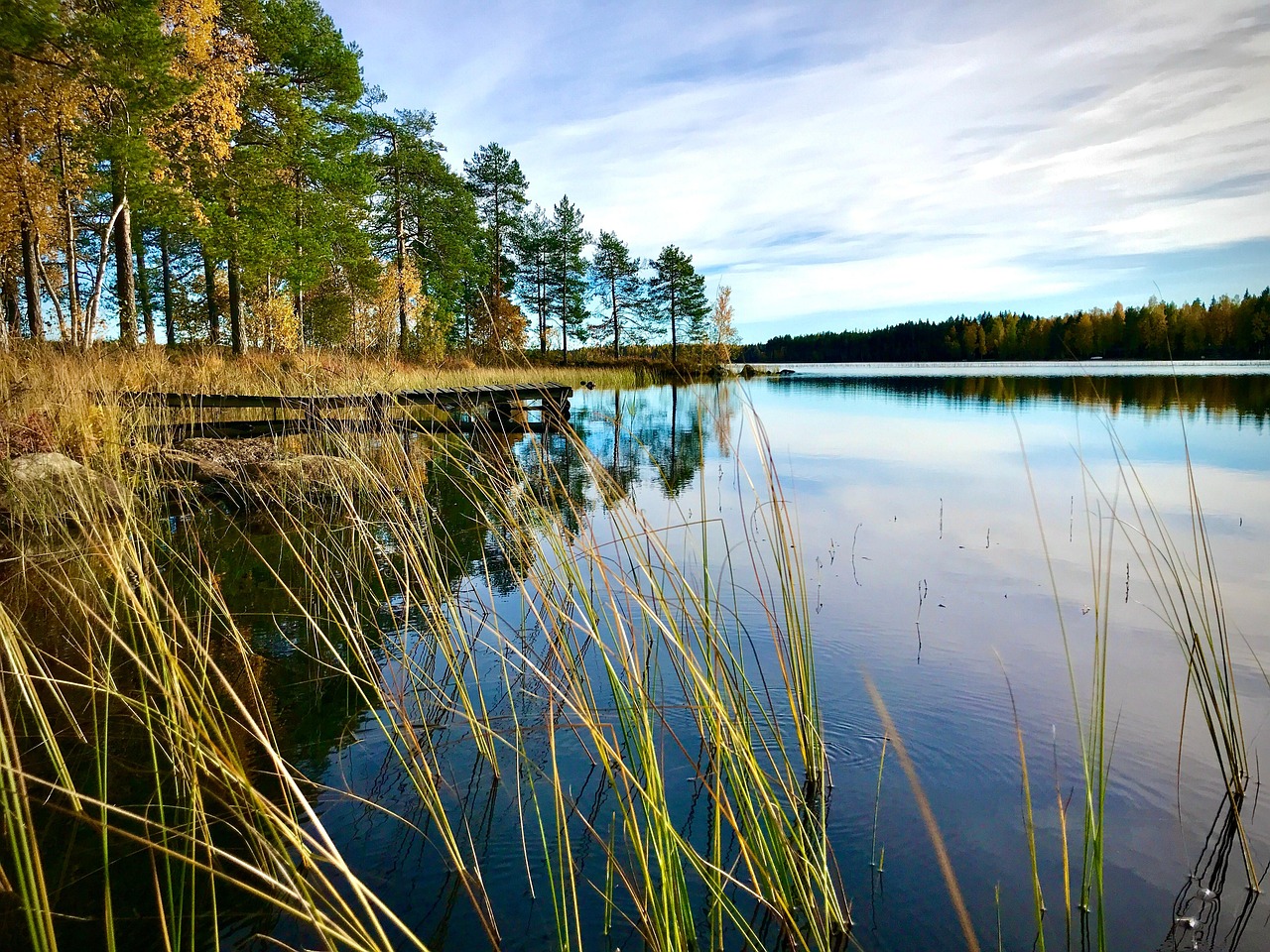 Syksy J rvi Kostenloses Foto Auf Pixabay Pixabay