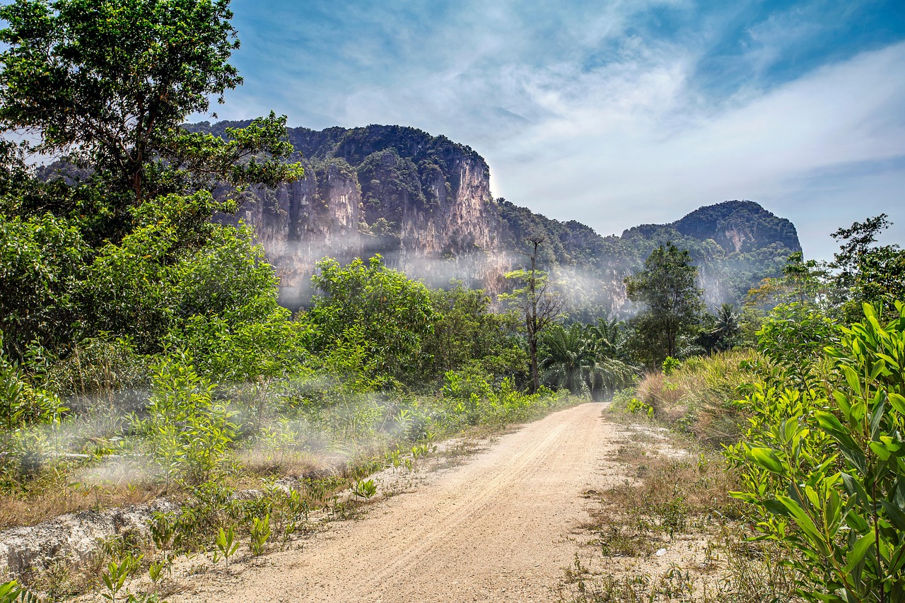 Nature Chemin Voyager - Photo gratuite sur Pixabay - Pixabay