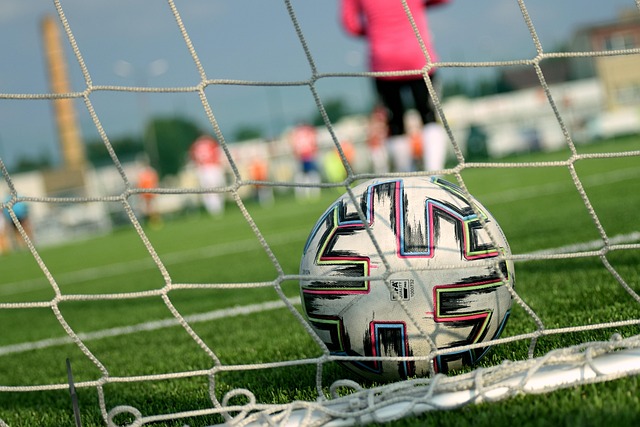Free Soccer Football photo and picture
